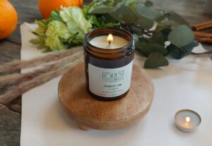 Forest Fragrances - Vegan Geurkaarsen - Geurkaars Kaneel Sinaasappel - Comfort Joy