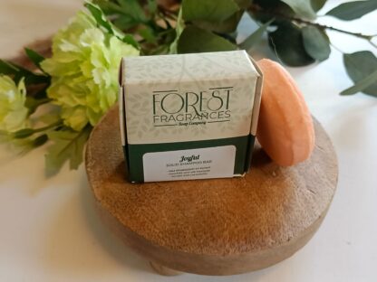 forest fragrances - natuurlijke haarverzorging - solid shampoo - sinaasappel kaneel - verpakt