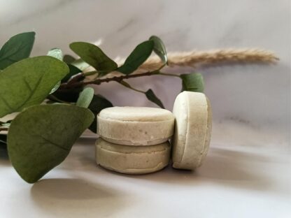 forest fragrances - duurzame haarproducten - solid shampoo bar - teatree rozemarijn solid shampoo