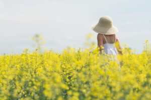 Een vrouw met een zonnehoed die door een koolzaadveld wandelt, de plantaardige bron van Behentrimonium Methosulfate dat geen sulfaat is